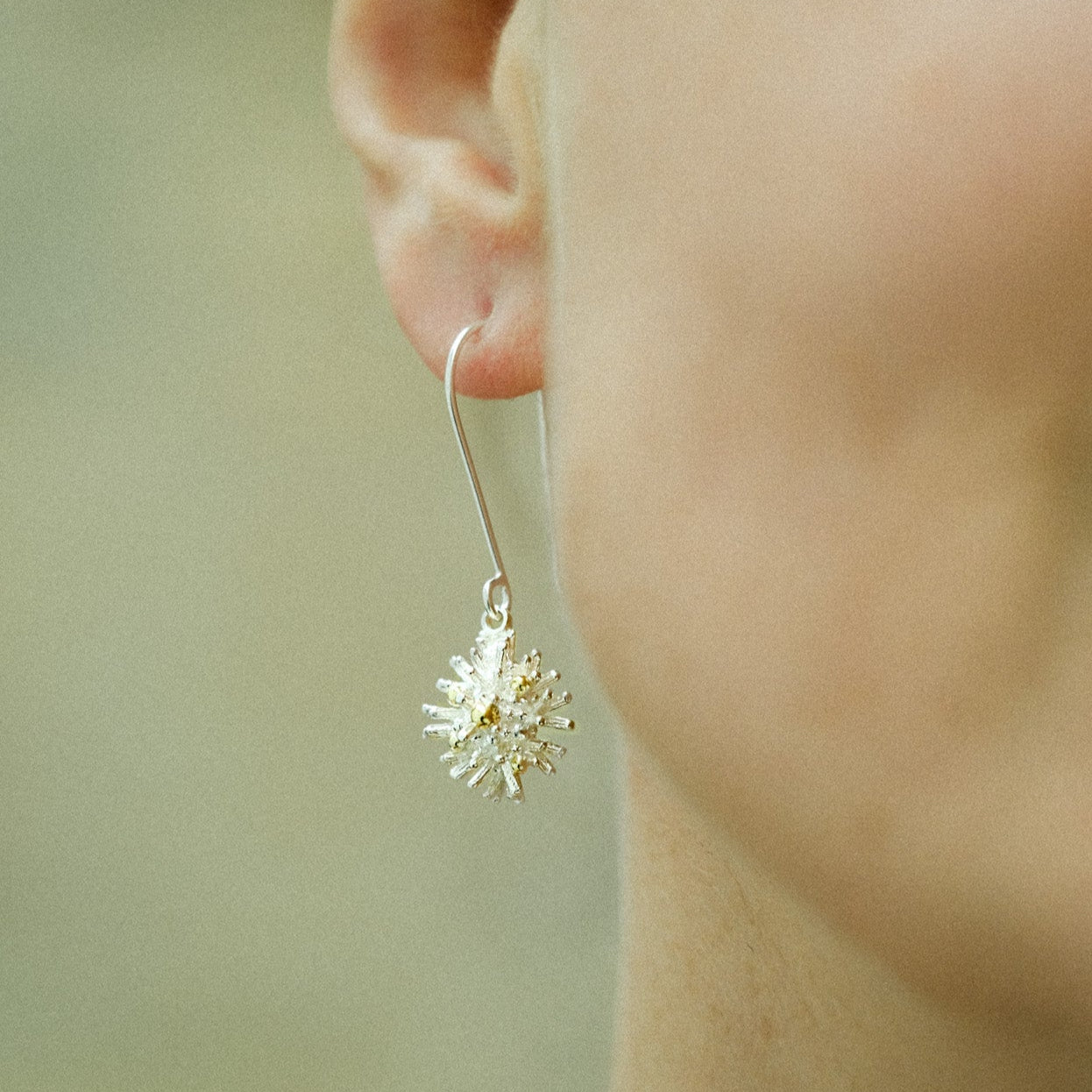 Sea Urchin Earrings - drops