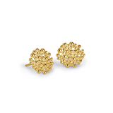 Berry Earrings - Gold Plated