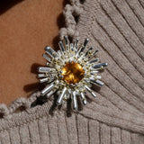 Reef Urchin Citrine Brooch