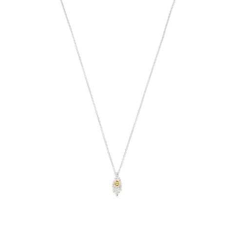 Sea Urchin Mini Burst - Pendant